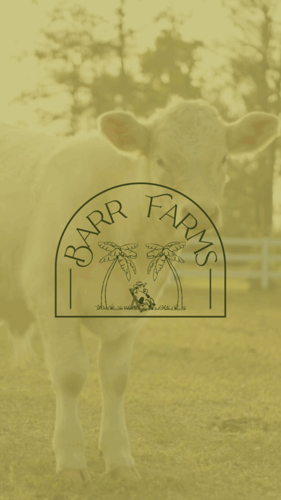Barr Farms Logo with Cow in the background