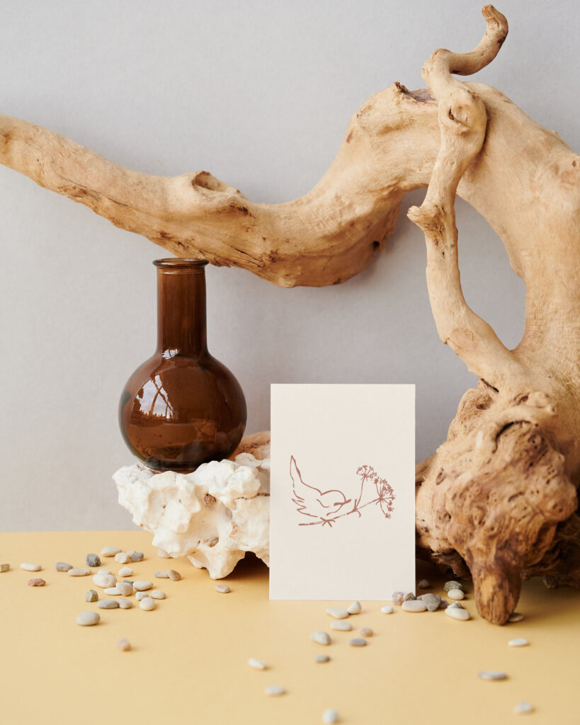 A hand-drawn wren displayed on a card with an aesthetic background.