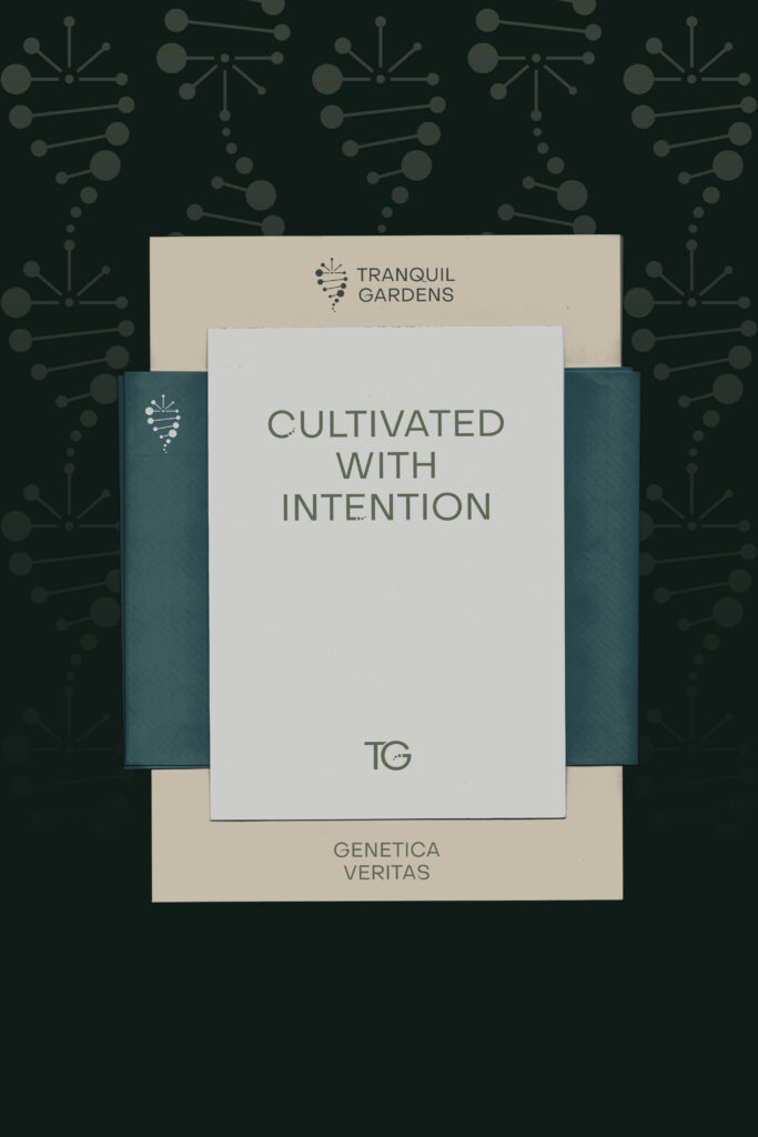 Tranquil Garden cannabis branding on stationery mockup featuring logo  variations and tagline.